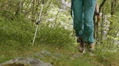 Orman Norveç'te hiking