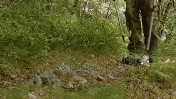 Jongeman wandelingen in Noorwegen met de trekking Polen — Stockvideo