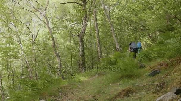 Backpacker w Norwegii — Wideo stockowe