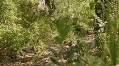 Adam trekking Polonyalılar ile Norveç'te zamları