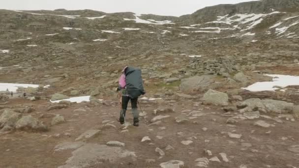 Toerist in de berg. Noorwegen — Stockvideo