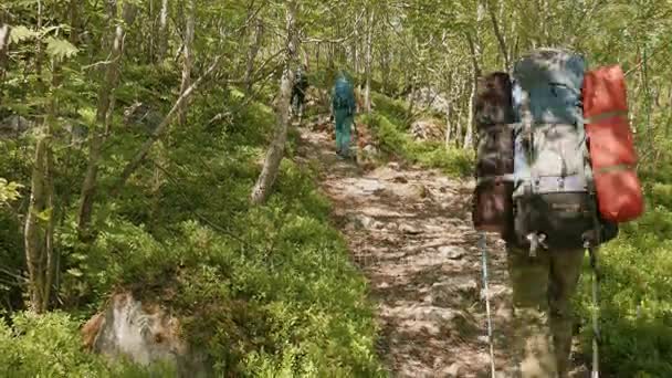バックパッカーは、トレッキング ポールがノルウェーでハイキングします。 — ストック動画