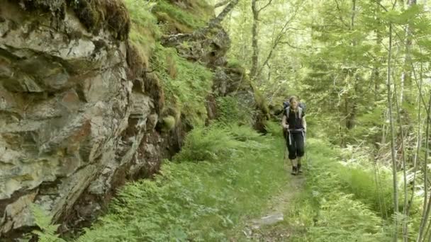 Dziewczyna na trekking w Norwegii — Wideo stockowe