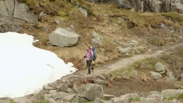 Caminatas de chicas en las montañas de Noruega — Vídeo de stock