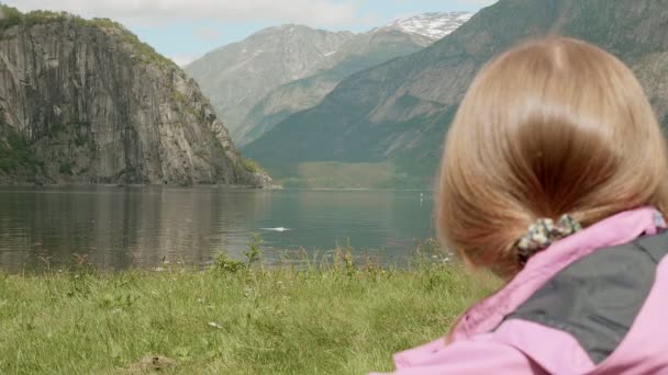 Koppla av på fjorden kustlinjen. Norge — Stockvideo