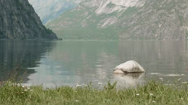 Kamień w fiordu Norwegii. Gładkie dolly strzał — Wideo stockowe