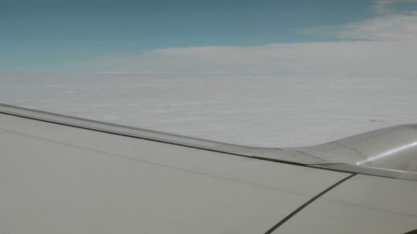 Flugzeug über den Wolken — Stockvideo