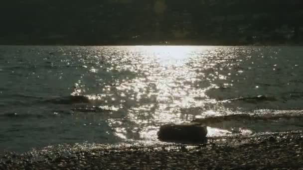 Steen en zon reflectie op het meer — Stockvideo