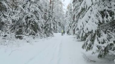 kayakçı kış orman