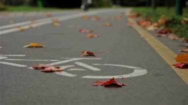 Yol üzerinde işaret bisiklet bisikletçi. Sonbahar. Yakın, yatay kaydırıcı vurdu
