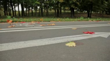 Yol üzerinde ok işareti bisiklet bisikletçi. Sonbahar. Kaymak vurdu