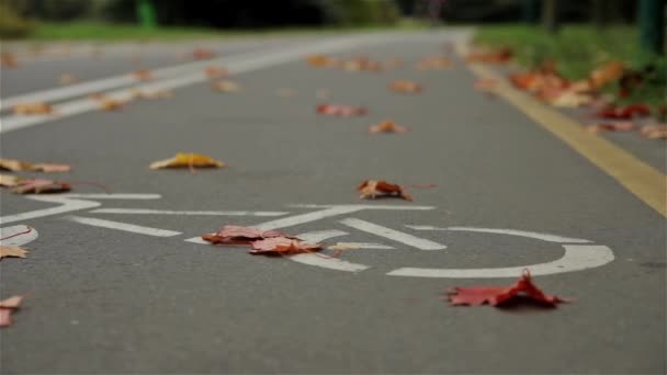 Cykeluthyrning tecken på vägen, cyklist. Hösten. Närbild, horisontella reglaget sköt — Stockvideo