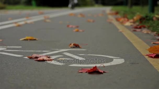 Sinal de bicicleta na estrada, ciclista. Outono. Fechar, tiro deslizante horizontal — Vídeo de Stock