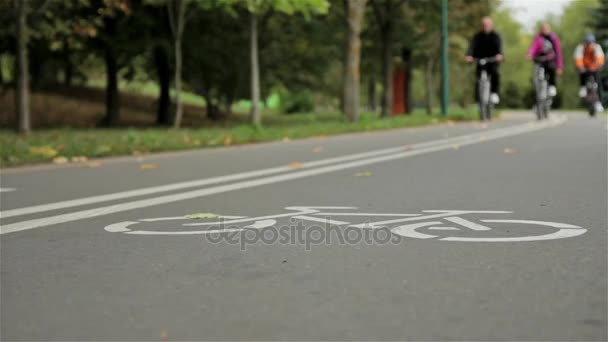 Sinal de bicicleta na estrada, ciclistas. Outono. Fechar, zoom deslizante tiro — Vídeo de Stock