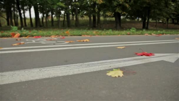 Segnale freccia bicicletta sulla strada, ciclista. Autunno. Slider colpo — Video Stock