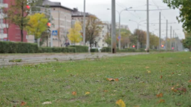 Sonbahar çimleri tramvay arka plan üzerinde. Yatay, kaymak vurdu — Stok video