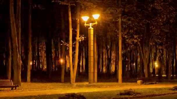 Laterne im Siegespark, Herbst. Zeitraffer-Aufnahme in Bewegung — Stockvideo