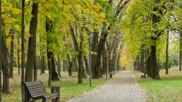 Podzimní cesta v parku vítězství. Časová prodleva zastřelil v pohybu — Stock video