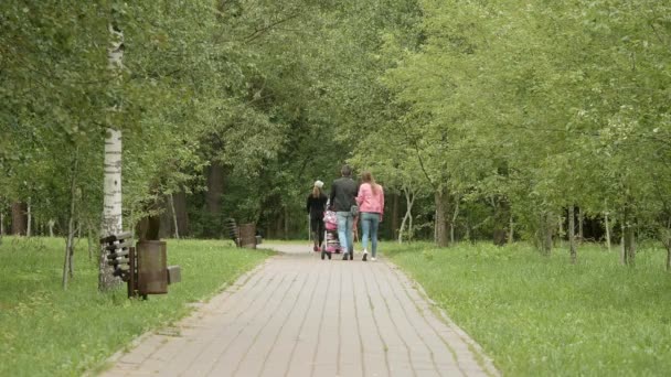 Ung familj i parken med barnvagn — Stockvideo