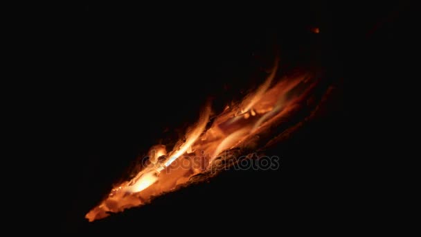Entre os troncos na fogueira à noite — Vídeo de Stock