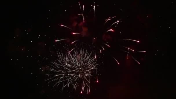 Egy csomó tűzijáték — Stock videók