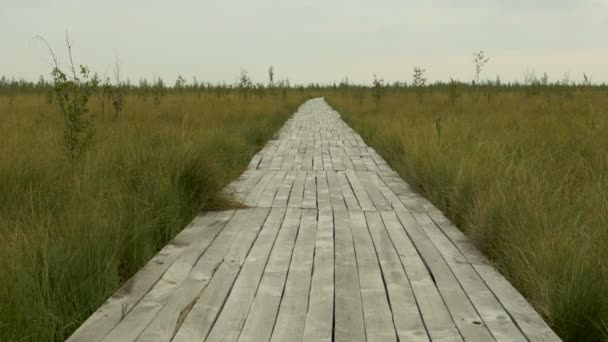 Camino de madera en la reserva nacional de pantanos. Día de otoño. Suave dolly tiro — Vídeo de stock