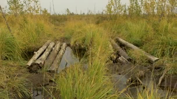 Houten brug door de stroom. Herfst overdag. Soepele dolly schot — Stockvideo