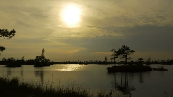 Sunset over swamp islands. Autumn daytime. Smooth dolly shot — Stock Video