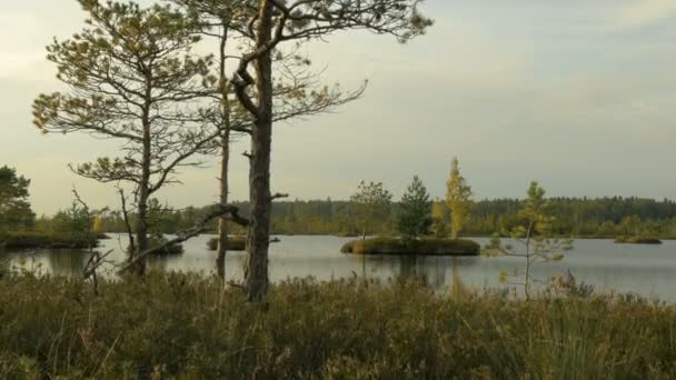 Petites îles. Le jour d'automne. Poupée lisse tourné — Video