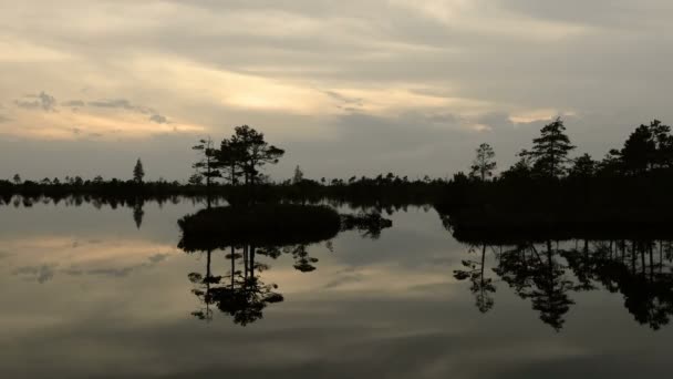 Kleine Insel im Teich. Herbstsonnenuntergang. Reibungsloser Schuss — Stockvideo