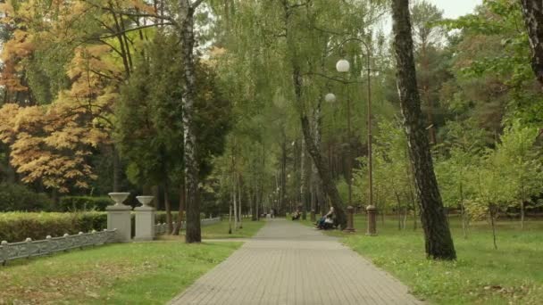Chemin dans le parc. Le jour d'automne. Poupée lisse tourné 