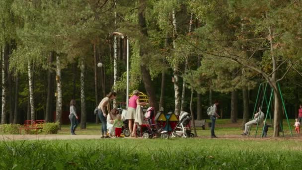 公園で子供と家族。秋の昼間。滑らかなドーリー ショット — ストック動画