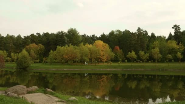 Young mother with the pram walks on the lake. Autumn daytime. Smooth dolly shot — Stock Video