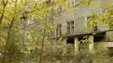 Ormanın içinde büyümüş çocuklar kampı. Sonbahar gündüz. Pürüzsüz dolly vurdu