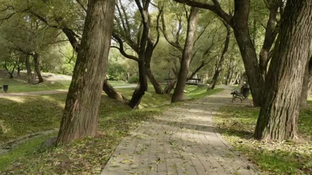 Passerelle carrelée dans le parc. Le jour d'automne. Poupée lisse tourné 