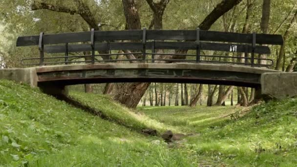 Pequeño puente en el parque. Día de otoño. Suave dolly tiro — Vídeos de Stock