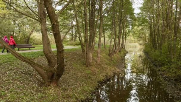 Vrienden lopen in het park in de buurt van de rivier. Herfst overdag. Soepele dolly schot — Stockvideo