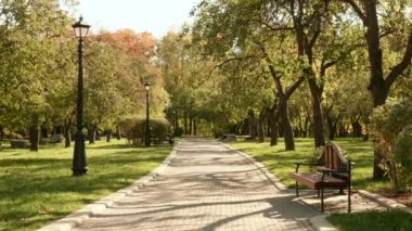 Tezgah parkta. Sonbahar gündüz. Pürüzsüz dolly vurdu