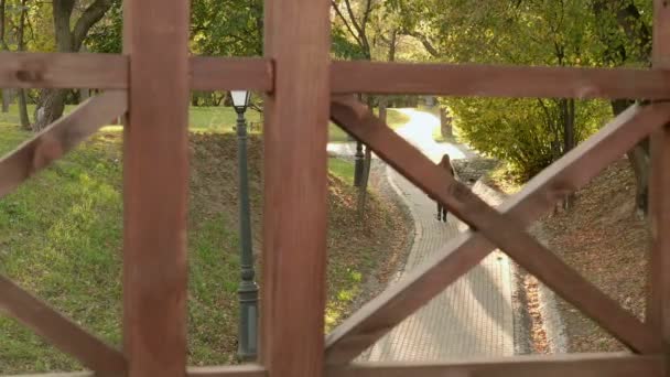 Una joven empresaria camina por el parque. Día de otoño. Suave dolly tiro — Vídeos de Stock