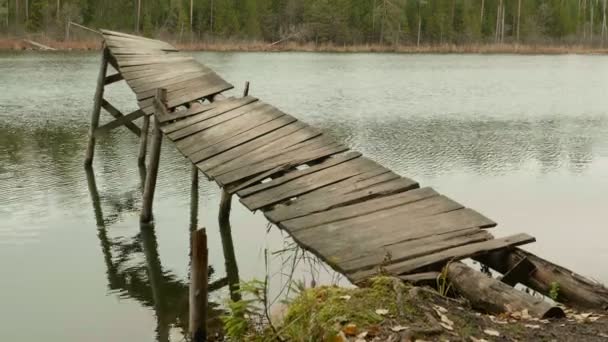 森の湖の古い橋が壊れてください。秋の昼間。滑らかなドーリー ショット — ストック動画