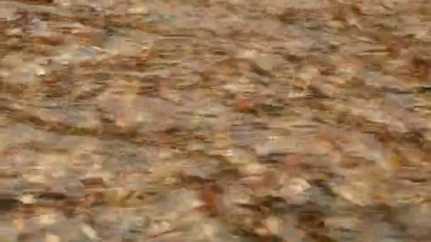 流动的河流。秋的白天 — 图库视频影像