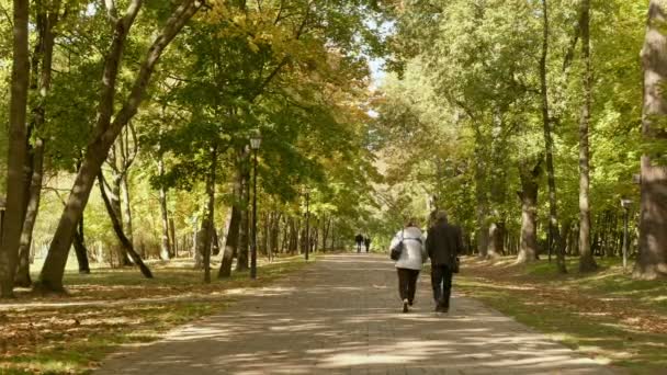 Coppia di adulti cammina nel parco. Di giorno d'autunno. Liscio colpo dolly — Video Stock