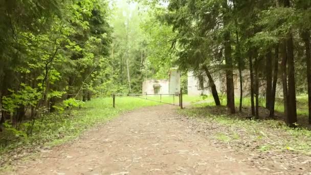 森の中の子供たちのキャンプへの障壁。滑らかにし、ゆっくり着実なカムショット — ストック動画