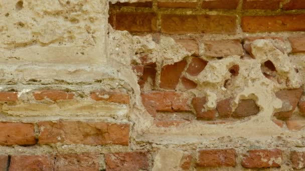 Concrete brick wall of the ancient castle. Autumn daytime. Smooth dolly shot — Stock Video