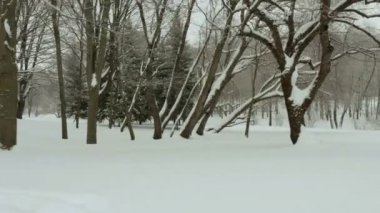 Winter Park. Temiz ve soğuk gündüz. Profesyonel gimbal stabilazer kullanılan