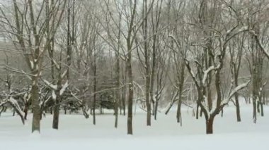 Winter Park. Temiz ve soğuk gündüz. Profesyonel gimbal stabilazer kullanılan