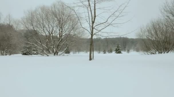 Winter Park. Schoon en ijzig overdag. Professionele gimbal stabilazer gebruikt — Stockvideo