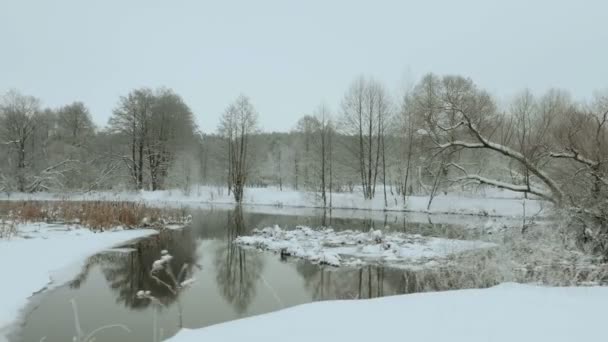 Vliegen op de rivier. Professionele gimbal stabilazer gebruikt — Stockvideo