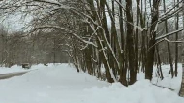 Köprü üzerinde uçan. Profesyonel gimbal stabilazer kullanılan