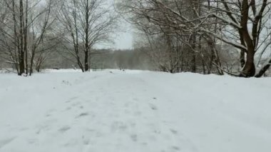 Winter park. Profesyonel gimbal stabilazer kullanılan